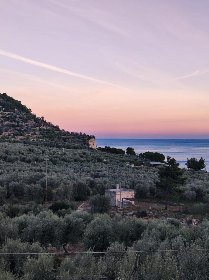 Dimora Mediterranea Mattinata Bagian luar foto