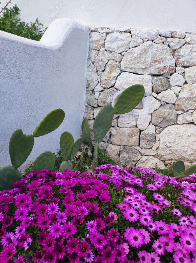 Dimora Mediterranea Mattinata Bagian luar foto