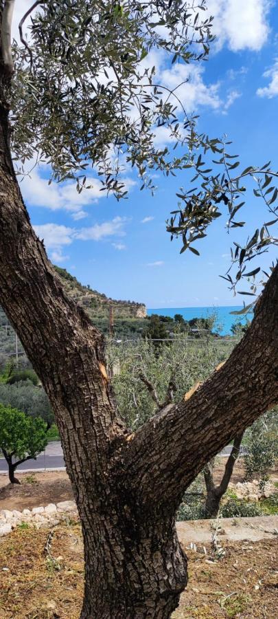 Dimora Mediterranea Mattinata Bagian luar foto