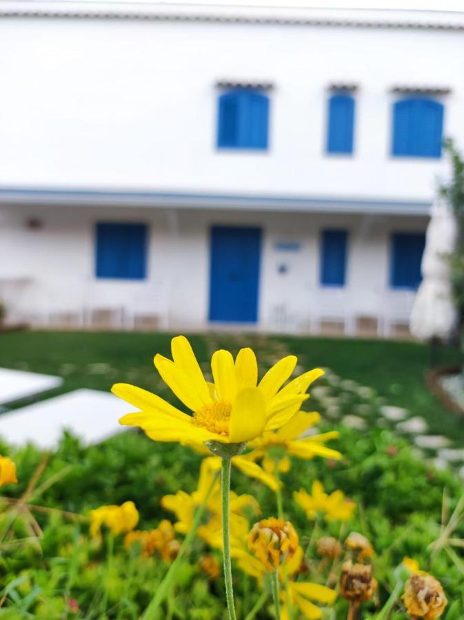 Dimora Mediterranea Mattinata Bagian luar foto